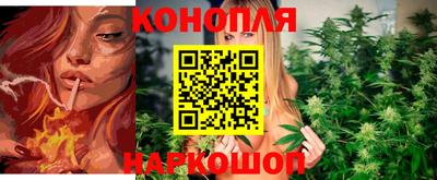 крисы Дмитров